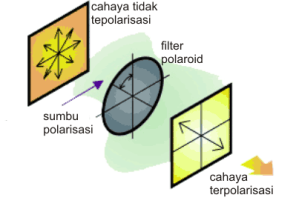 Gambar 2. Skema polarisasi selektif menggunakan filter polaroid. Hanya cahaya dengan orientasi sejajar sumbu polarisasi polaroid yang diteruskan.